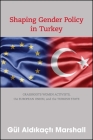 Shaping Gender Policy in Turkey: Grassroots Women Activists, the European Union, and the Turkish State Cover Image
