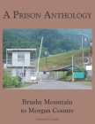 A Prison Anthology: Brushy Mountain to Morgan County By Garry William Johnson Cover Image