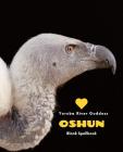 Love Oshun: Yoruba River Goddess Spellbook Cover Image
