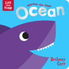 Sparkle-Go-Seek Ocean (Sparkle-Go-Seek Lift-the-Flap Books) Cover Image