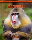 Mandrill! An Educational Children's Book about Mandrill with Fun Facts By Sue Reed Cover Image