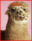 Alpaca: Beautiful Pictures & Interesting Facts Children Book About Alpaca By Emily Rennie Cover Image