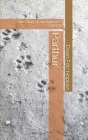 Parthur: the Story of an Orphaned Bobcat By Dawn Fritz Hopkins Cover Image