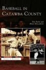 Baseball in Catawba County By Brian McLawhorn, Tim Peeler Cover Image