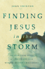 Finding Jesus in the Storm: The Spiritual Lives of Christians with Mental Health Challenges By John Swinton Cover Image