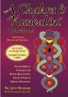 A Chakra & Kundalini Workbook: Psycho-Spiritual Techniques for Health, Rejuvenation, Psychic Powers & Spiritual Realization By Jonn Mumford Cover Image