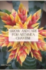 Grow and Care for Aechmea Chantinii: Plant Guide By Sergy Savosh Cover Image