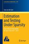 Estimation and Testing Under Sparsity: École d'Été de Probabilités de Saint-Flour XLV - 2015 By Sara Van de Geer Cover Image