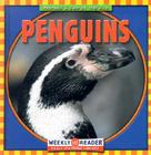 Penguins (Animals I See at the Zoo) By JoAnn Early Macken Cover Image
