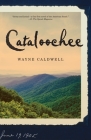 Cataloochee: A Novel Cover Image