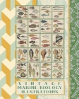 Vintage marine biology illustrations: Full colour whimsical vintage fauna ephemera for the ichthyologist enthusiasts, marine scrapbooker or marine lif Cover Image