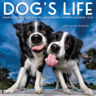 Dog's Life 2025 12 X 12 Wall Calendar By Kaylee Greer (Created by) Cover Image
