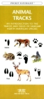 Costa Rica Wildlife: A Folding Pocket Guide to Familiar Animals (Pocket Naturalist Guide) By James Kavanagh, Waterford Press, Raymond Leung (Illustrator) Cover Image