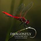 Dragonfly Calendar 2019: 16 Month Calendar Cover Image