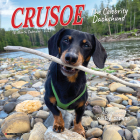 Crusoe the Celebrity Dachshund 2025 7 X 7 Mini Wall Calendar By Ryan Beauchesne (Created by) Cover Image