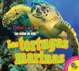 Las Tortugas Marinas By Aaron Carr Cover Image