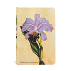 Paperblanks Hardcover Brazilian Orchid Mini Unlined By Paperblanks Journals Ltd (Created by) Cover Image