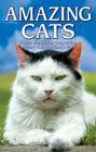 Amazing Cats: Stories of Intuition, Compassion, Mystery & Extraordinary Feats Cover Image