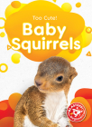 Baby Squirrels By Elizabeth Neuenfeldt Cover Image