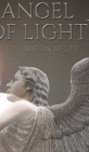 celebration of Life Angel Of Light Journal: celebration of Life Angel of Light By Michael Huhn Cover Image