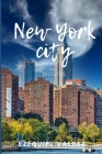 New york city By Ezequiel Valdez Cover Image