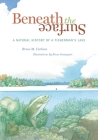 Beneath the Surface: A Natural History of a Fisherman's Lake By Bruce M. Carlson, Bruce Granquist (Illustrator) Cover Image