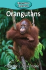 Orangutans (Elementary Explorers #46) Cover Image