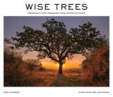 Wise Trees 2020 Wall Calendar: Remarkable Living Monuments from Around the World By Diane Cook, Len Jenshel Cover Image