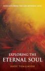 Exploring the Eternal Soul - Insights from the Life Between Lives By Andy Tomlinson Cover Image