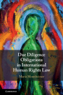 Due Diligence Obligations in International Human Rights Law Cover Image