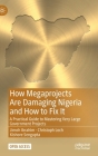 How Megaprojects Are Damaging Nigeria and How to Fix It: A Practical Guide to Mastering Very Large Government Projects Cover Image