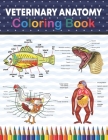 Veterinary Anatomy Coloring Book: Incredibly Detailed Self-Test Veterinary Anatomy Coloring Book for Animal Anatomy Students Veterinary Anatomy self t By Sreijeylone Publication Cover Image