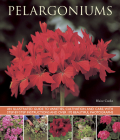 Pelargoniums: An Illustrated Guide to Varieties, Cultivation and Care, with Step-By-Step Instructions and Over 170 Beautiful Photogr Cover Image