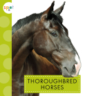 Thoroughbred Horses (Spot Horses) By Alissa Thielges Cover Image