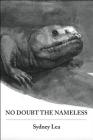 No Doubt the Nameless Cover Image