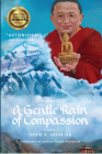 A Gentle Rain of Compassion By David R. Shlim Cover Image