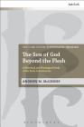 The Son of God Beyond the Flesh (T&t Clark Studies in Systematic Theology) By Andrew M. McGinnis Cover Image