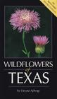 Wildflowers of Texas By Geyata Ajilvsgi Cover Image