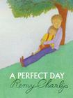 A Perfect Day Cover Image