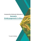 Comparative Molecular Network of Somatic Embryogenesis in Rice By Yuvraj Indoliya Cover Image