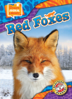 Red Foxes By Chris Bowman Cover Image