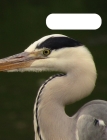 Birds: Birds Notebook By Jacob Riley Cover Image