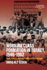 Working Class Formation in Turkey, 1946-1962: Work, Culture, and the Politics of the Everyday Cover Image