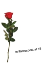 In Retrospect at 15 Cover Image