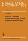 Surface Enhanced Raman Vibrational Studies at Solid Gas Interfaces (Springer Tracts in Modern Physics #104) By I. Pockrand Cover Image