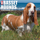 Just Basset Hounds 2023 Wall Calendar By Willow Creek Press Cover Image