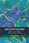 Virtuous Waters: Mineral Springs, Bathing, and Infrastructure in Mexico By Casey Walsh Cover Image