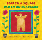 Bear in a Square (Bilingual Spanish & English) Cover Image