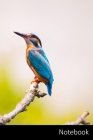 Notebook: Eisvogel, Natur, Ast, Sitzen Notizbuch / persönliches Tagebuch / Schreibheft / Logbuch / Planer / Vokabelheft / Notize By Notizbuch A5 Liniert Geschenkideen Cover Image