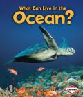 What Can Live in the Ocean? (First Step Nonfiction -- Animal Adaptations) By Sheila Anderson Cover Image
